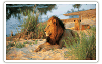 Serengeti